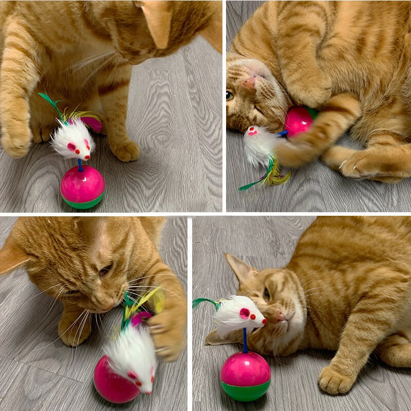 1Pcs Leuke Duurzaam Huisdier Kat Speelgoed Mimi Favoriete Bont Muis Tumbler Kitten Kat Speelgoed Plastic Play Ballen Voor Vangst katten Supplies