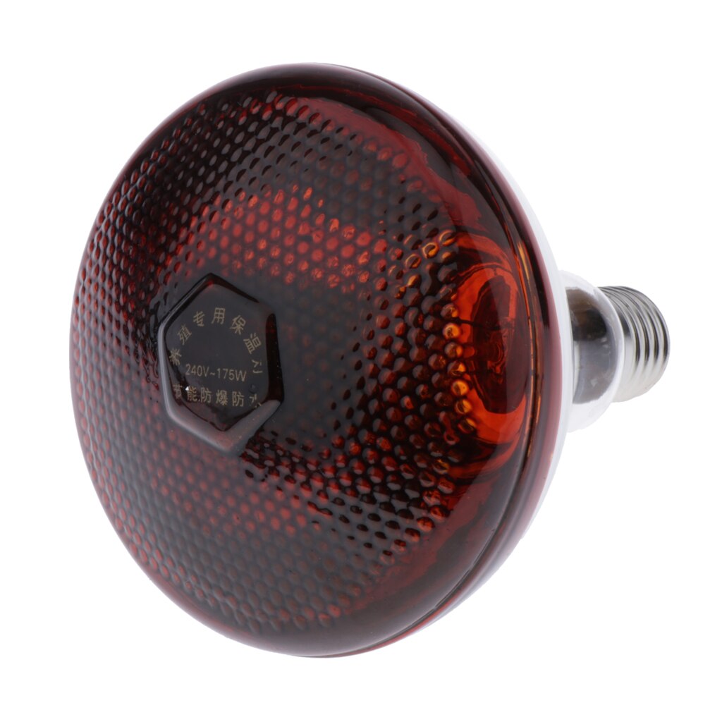 Bombilla de calor para reptiles, tortugas y tortugas, lámpara de 1x220V