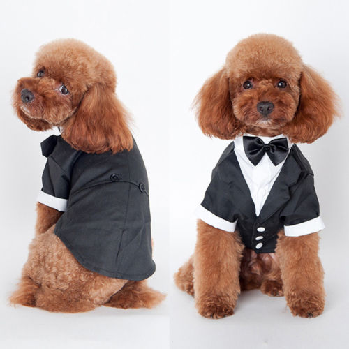 Smuk solid sød kæledyr hund kat tøj prins bryllup jakkesæt smoking bow tie hvalp tøj frakke: L