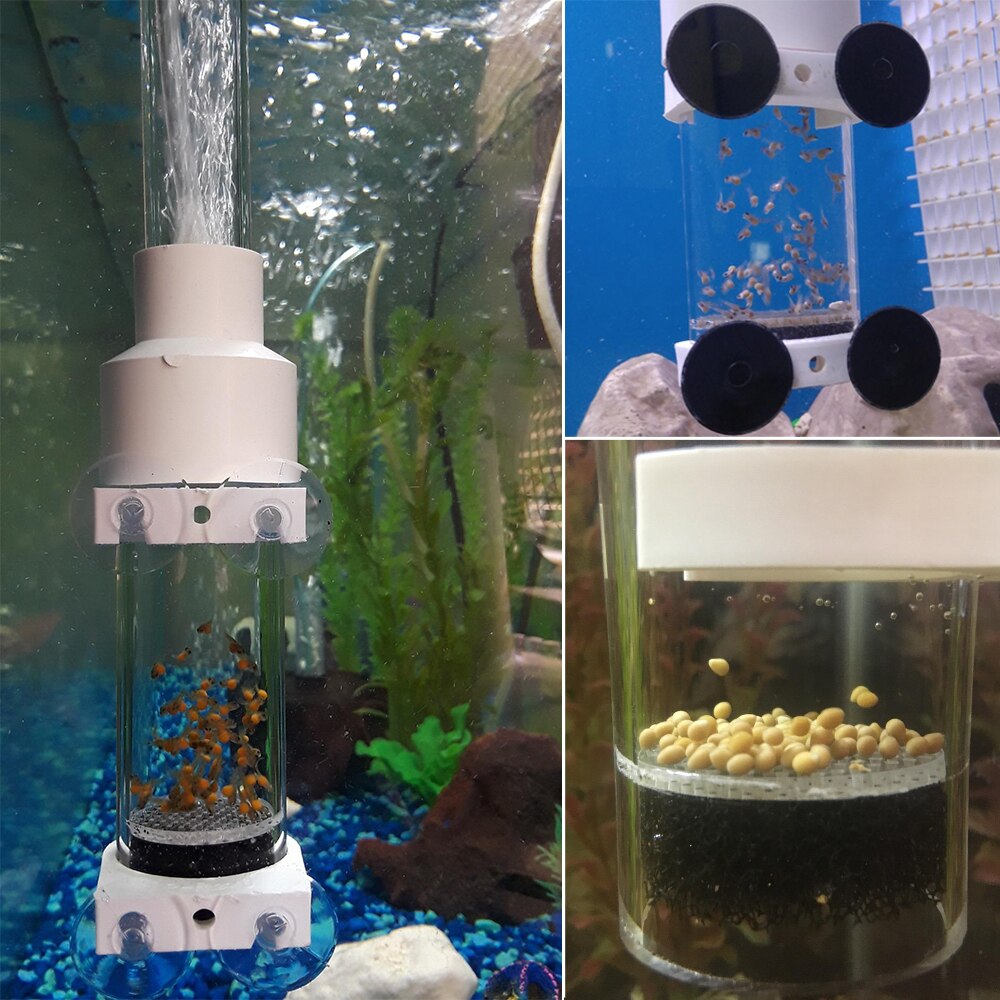 Senzeal Aquarium Fish Tank Accessories Fish Shrimp Cichlids Egg Incubator Tumbler Fish Turtle Hatchery Mouth-Brooding 40mm