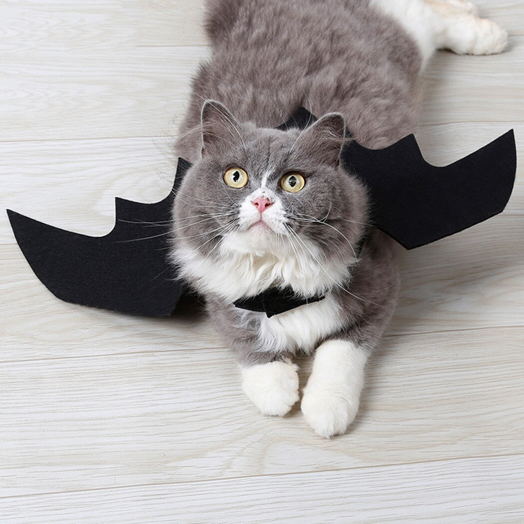 Halloween 1PC Divertente Gatti Cosplay costume animale domestico Ali di Pipistrello gatto pipistrello costume in forma Partito Cani Gatti Che Giocano Accessori per Animali Domestici