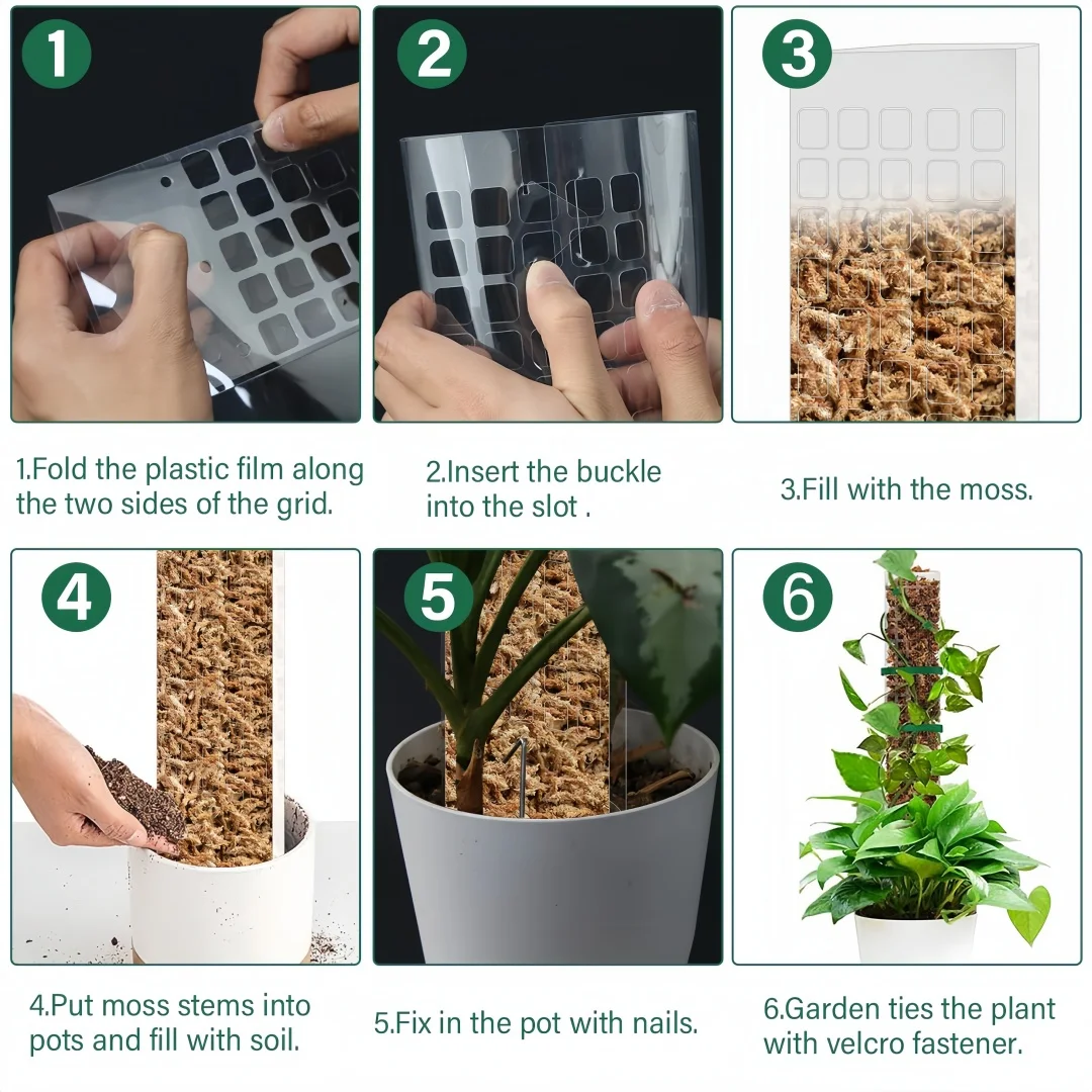 24 tommers mosestang til planter plantestøttestenger innendørs potteplantepinner støtte 2/4/6 stk trene slyngplanter til å vokse oppover