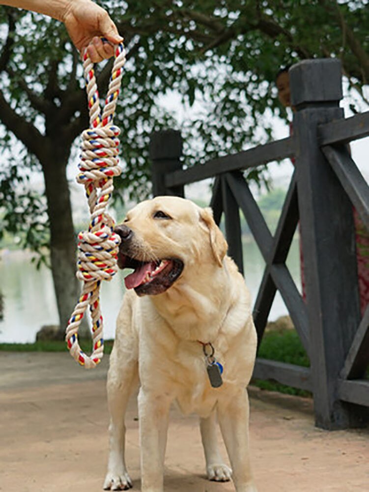 60Cm Golden Retriever masticar dientes juguetes grandes mascotas juguetes morder Molar cuerda del diente perro juguete para perros grandes Rottweiler perro Juguetes