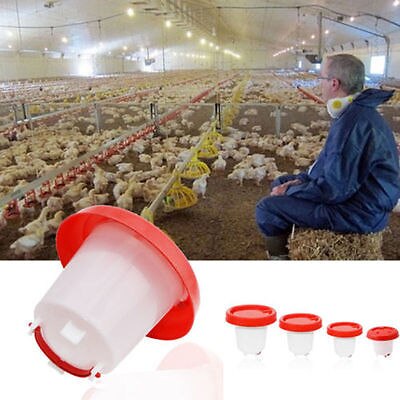 Bebedero de plástico robusto para pollos, codorniz, aves de corral, comedero para pollos