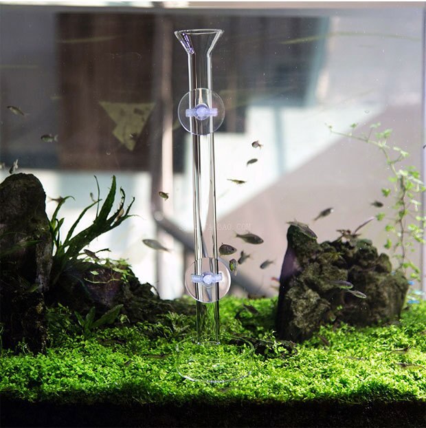 Glass Aquarium Feeder Tube Dish Shrimp Fish Snail Sunk Food Dispenser Feeding Tube Bowl Aquarium Accessories