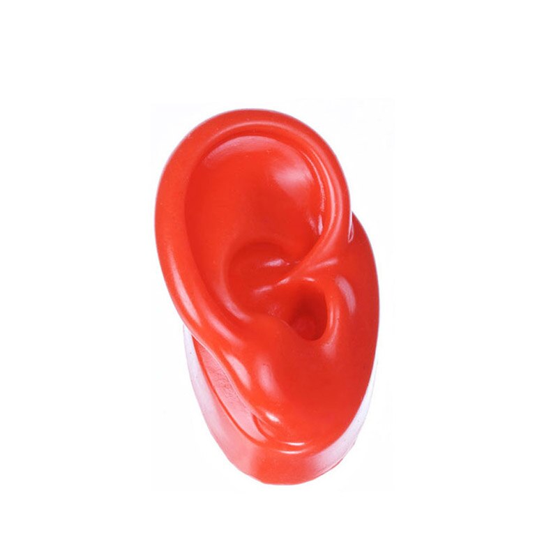 Silicone Ear Model Human Artificial Ear Display for Hearing Aids IEM Earphones Display and Lecturing: Red Right side