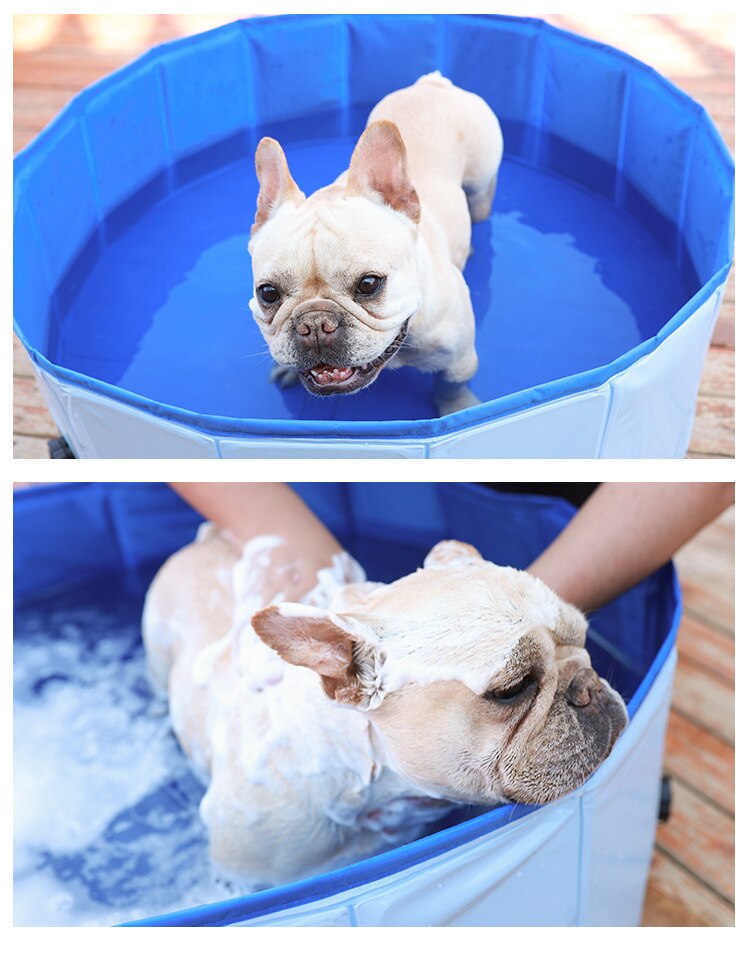 Hund pool vikbar hund simbassäng husdjur bad badkar badkar husdjur pool hopfällbar badpool för hundar katter barn