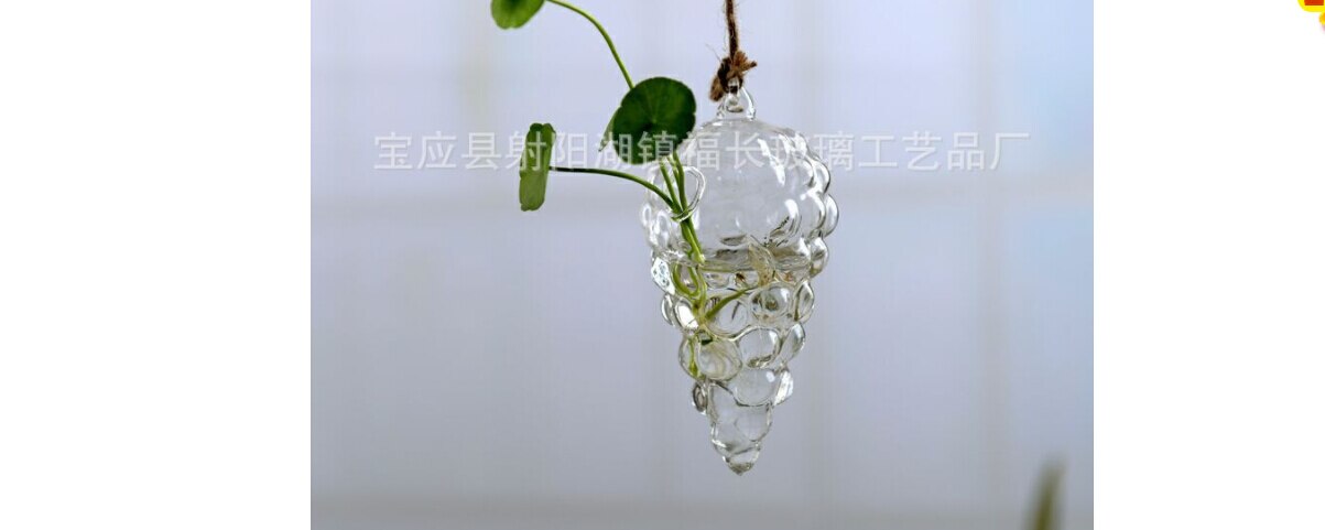 Creativa de madera Terrario de vidrio contenedor hidroponía maceta para flor de mesa florero bricolaje hogar Oficina Decoración de la boda: grape