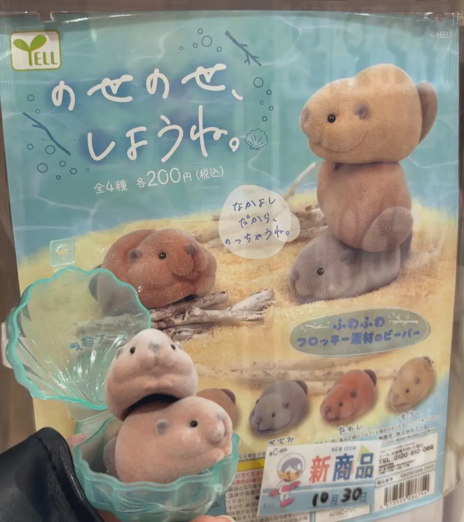 Juguetes de cápsula del mundo graso, figura esponjosa de Nutria kawaii, ojos redondos, boca hinchada, castor gordo flocado, mascota apilable, gashapon