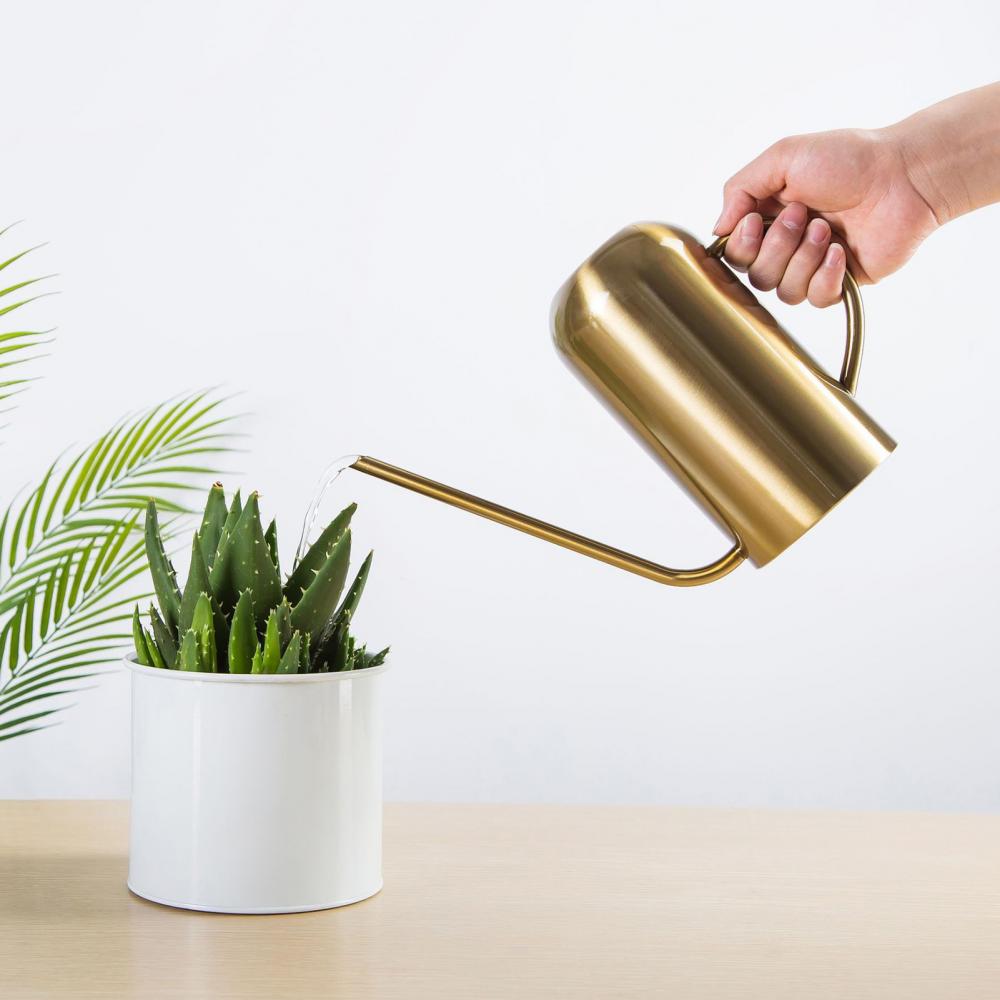 1500ml długie usta konewka ze stali nierdzewnej dla sukulentów bonsai