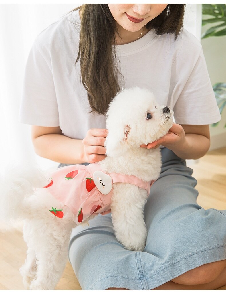 Vestidos con bordado de fresas para perros pequeños, ropa para Chihuahua, Yorkshire, accesorios para mascotas