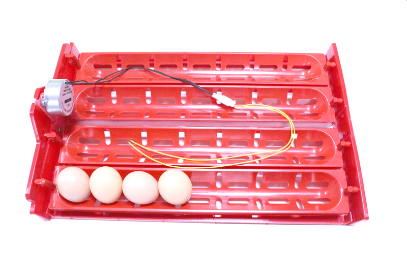 Accesorios para incubadora de huevos, bandeja para colocar huevos, pato, Ganso, aves de corral, Motor de 110V/220V/DC12V, novedad, 32-40 juegos, 1 Juego