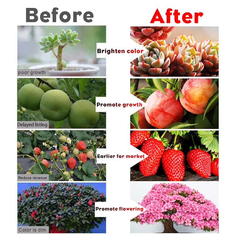 70W 140W High Power LED Grow Light Full spectrum Grow Lamp for Indoor Greenhouse Grow Tent Plants Grow Led Light Flood Lights