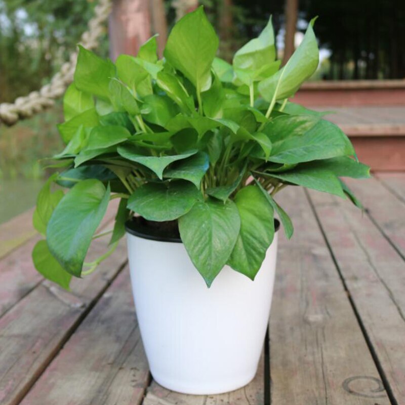Preguiçoso vaso de flores pote automático imitação porcelana série plástico auto rega pote mesa escritório em casa decoração do jardim