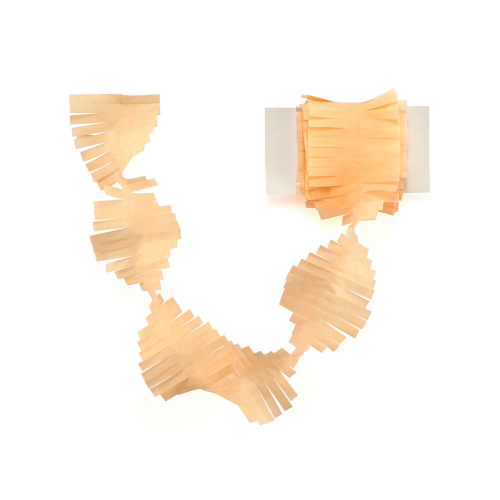 3M Fringed Party Streamers Tissue Paper Garland DIY Fringe Curtain Banners Photo Backdrop Wedding Birthday Shower Decoration: A09 Peach