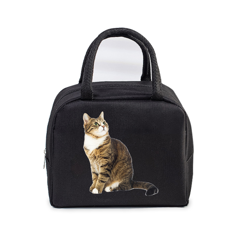 Lunch Bag for Women Men Insulated Portable 3D Cartoon Cats Multifunctional Bag Thermal Food Container School Kids Picnic Handbag: Różowy