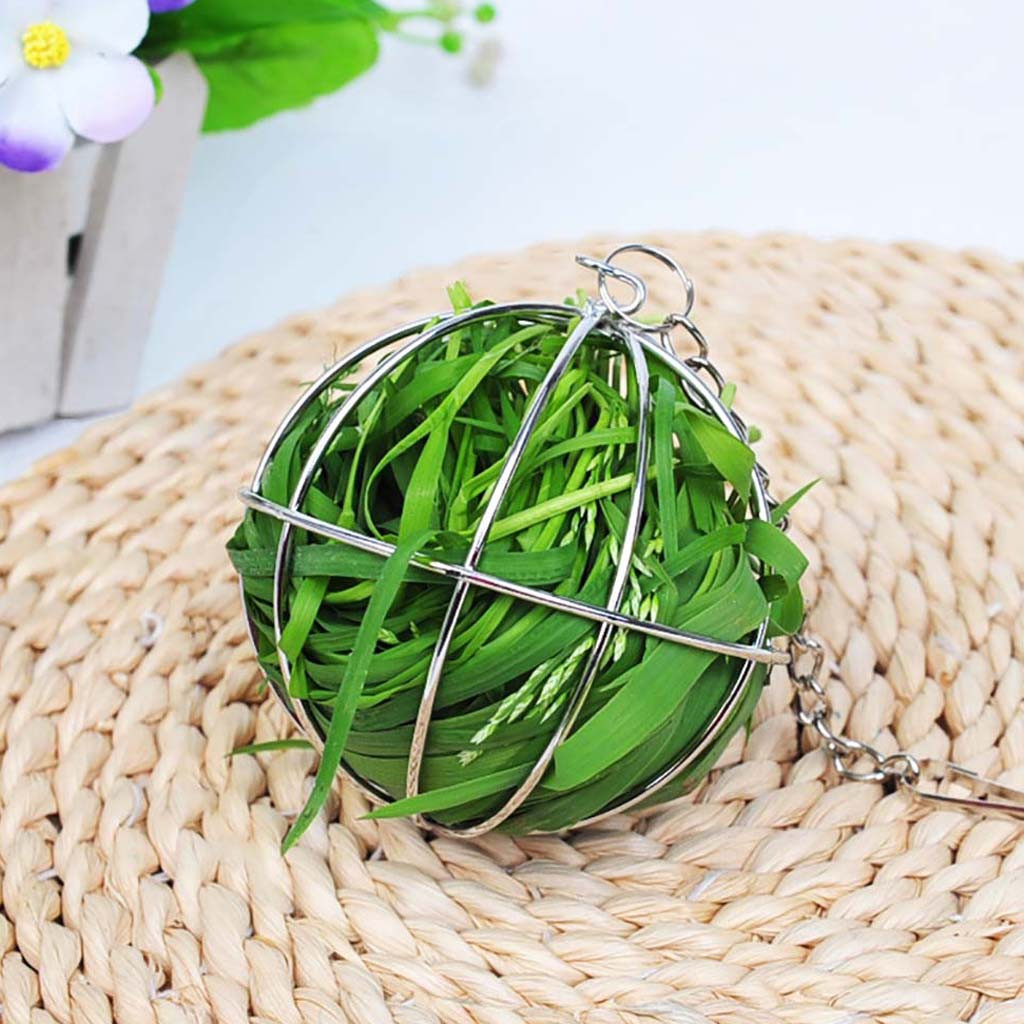 1PC Stainless Steel Small Pet Toys Round Sphere Feed Dispense Exercise Hollow Hanging Hay Ball Guinea Pig Hamster Rat Rabbit