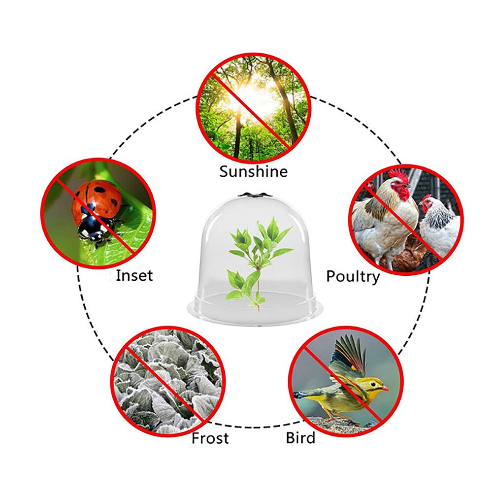 4Pcs Tuin Cloche Dome Plant Bel Plant Covers Voor Tuin Decor Plant Protector Cover Plastic Voor Plant Protection Cover