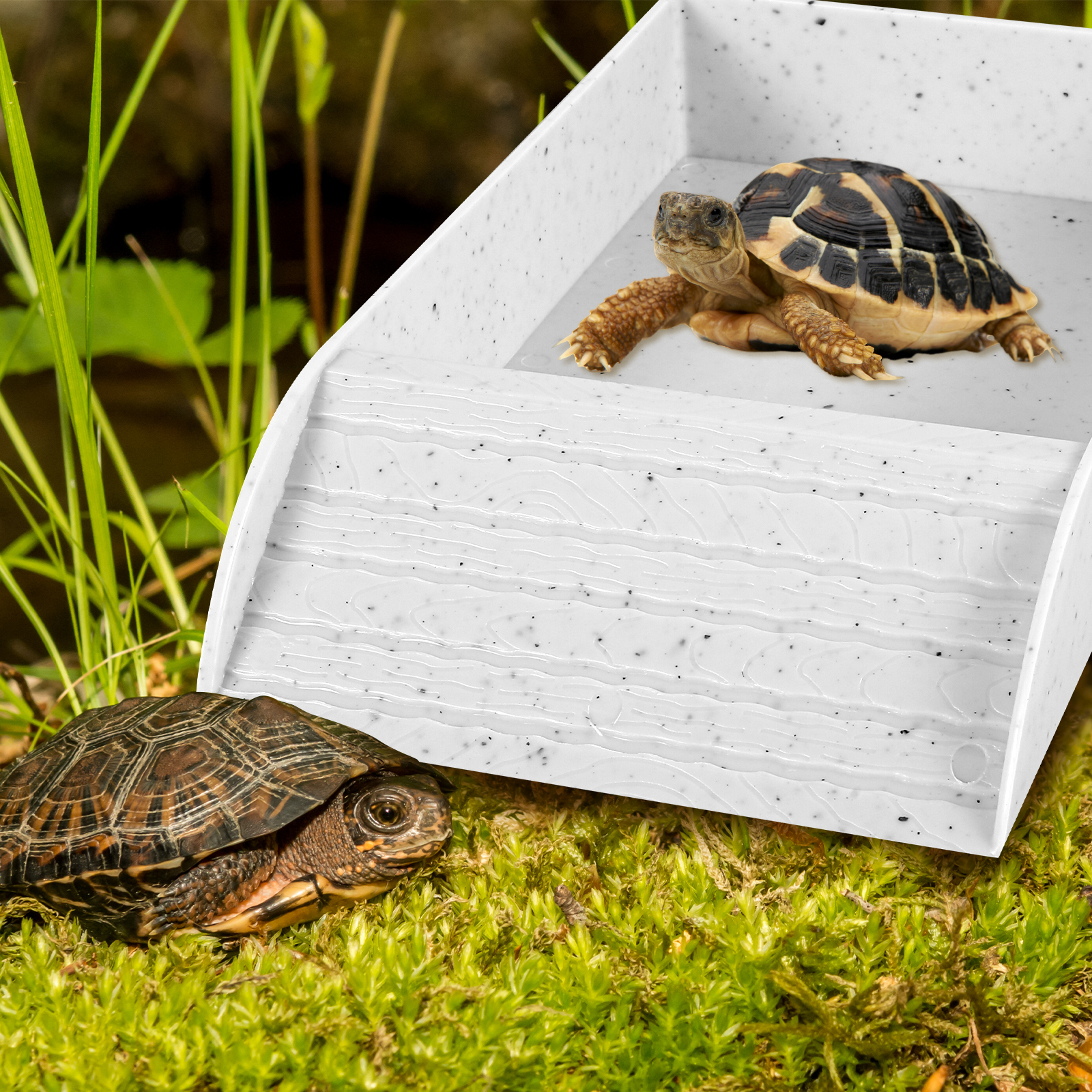 Plato de comida para tortuga, cuenco de plástico para comida y agua, accesorio para hábitat de tortuga con rampa antideslizante, piscina de baño para reptiles y tortugas
