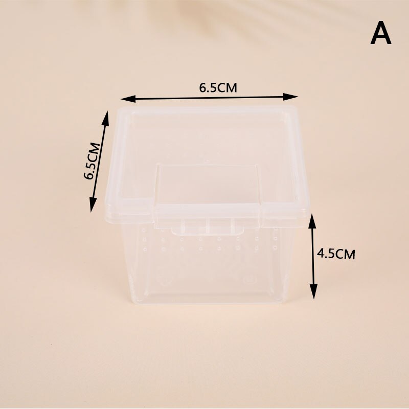 Caja de alimentación para Terrario de lagartos, jaula para reptil, contenedor para incubar, contenedor de cría para Terrario de lagartos, Araña, insecto escarabajo, casa, 1 ud.: Marrón oscuro