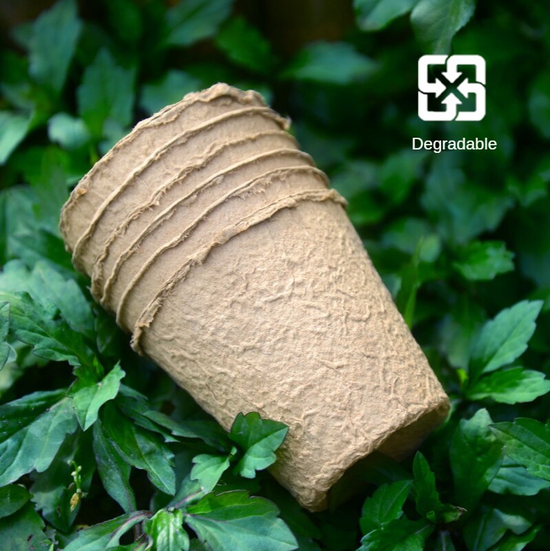 Pulp Nursery Cup 8cm Round Pulp Cup and Biodegradable