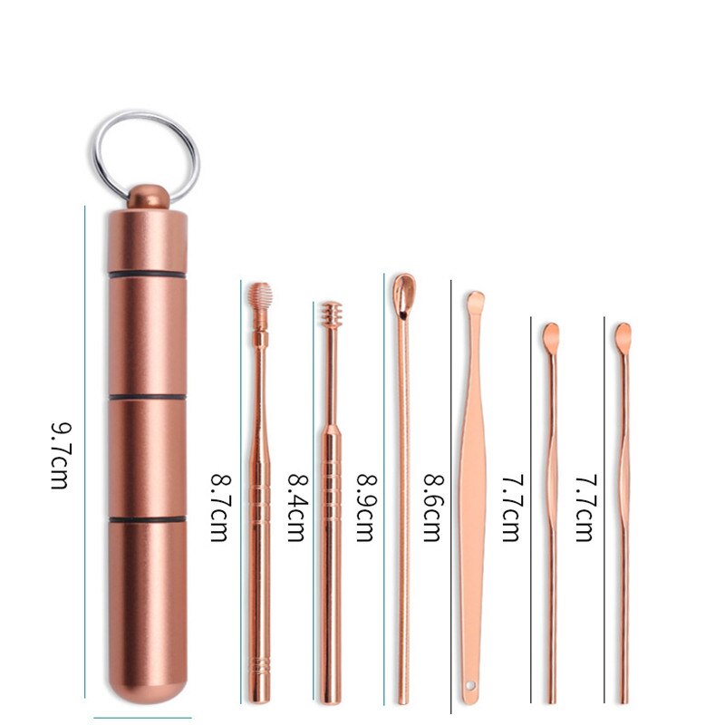 Öronpetare i rostfritt stål bärbar öronpetare 6 delar set öronrengörare dubbelfjäder öronplockningsverktyg öronvax borttagningsverktyg öronvård