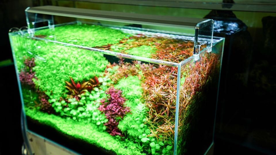 Chihiros Wrgb 2 Acryl Stand Voor Wrgb Ii Aquarium Led Licht