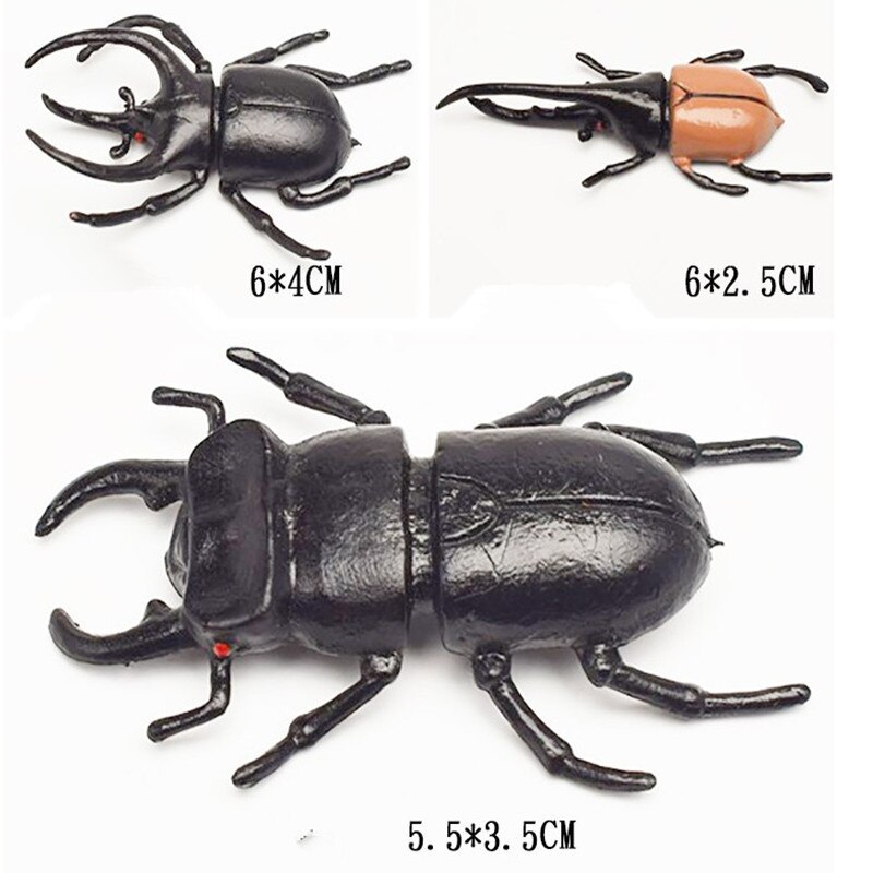 10 pièces/lot 5.5cm simulation scarabée jouets spécial réaliste modèle Simulation insecte jouet pépinière aides pédagogiques blague jouets