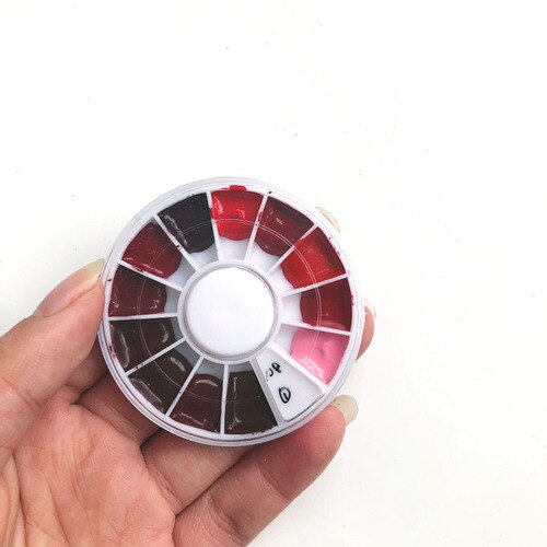 Mini caja de acuarela, disco de pintura de acuarela rojo, 12 colores, 0,5 ml/1ml/2ml: round disc