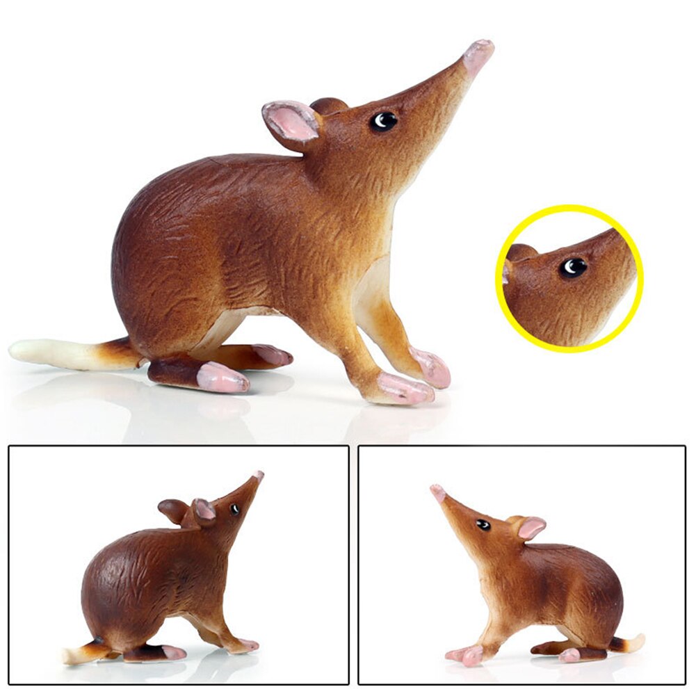 Realistische Muis Rat Opossum Animal Model Cijfers Desk Decor Onderwijs Kinderen Speelgoed