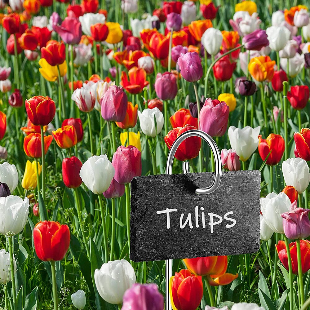 Natuurlijke Stijl Slate Plant Labels, Opknoping Van Een Roestvrij Stalen Metalen Staaf, 15.75Inch Plant Etiketten Voor Tuin, Bloem, Bed, Potten