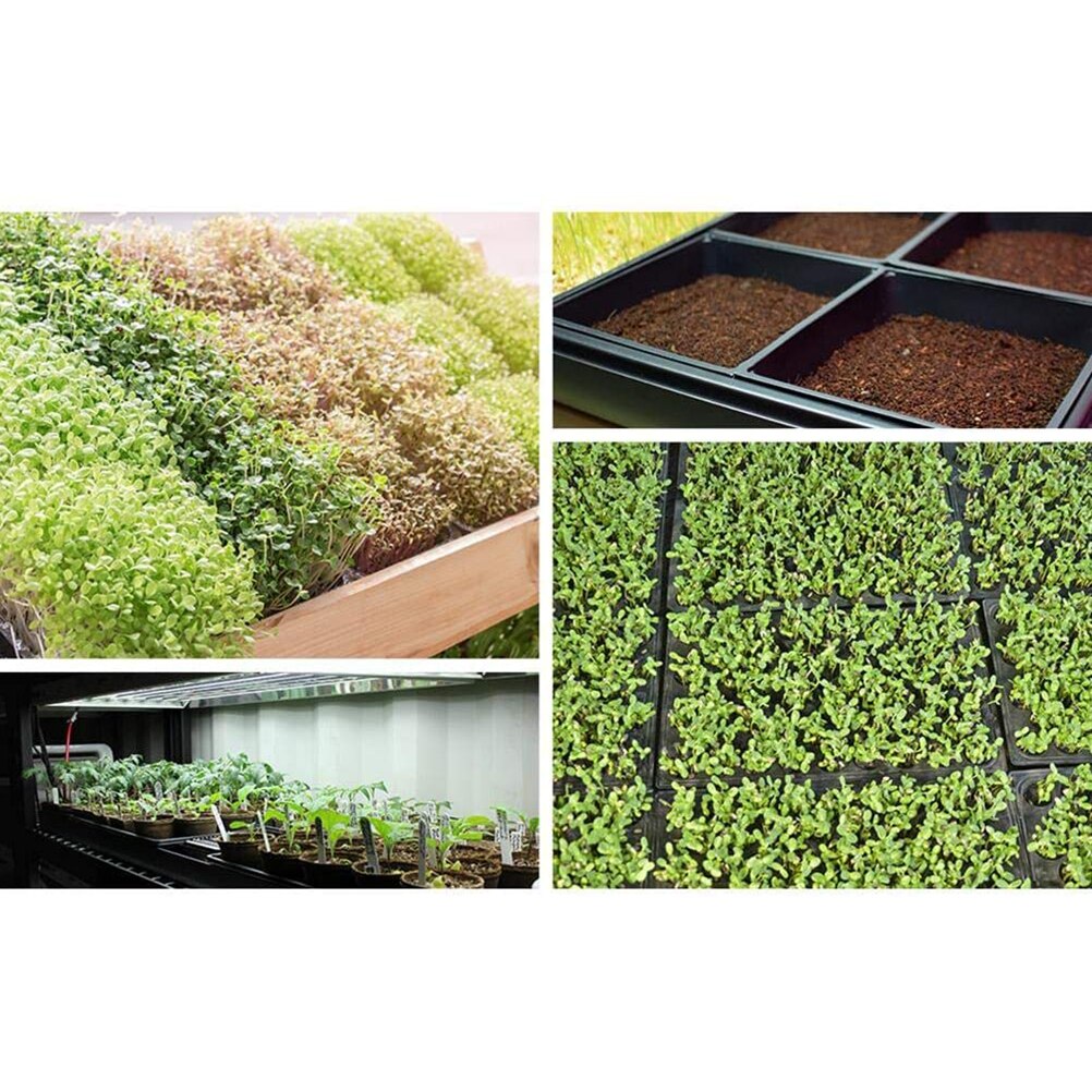2pcs 54cm Seedling Tray Starting Trays for Planting Seedlings Propagation Germination Plugs Seedling Tray for Microgreens Soil