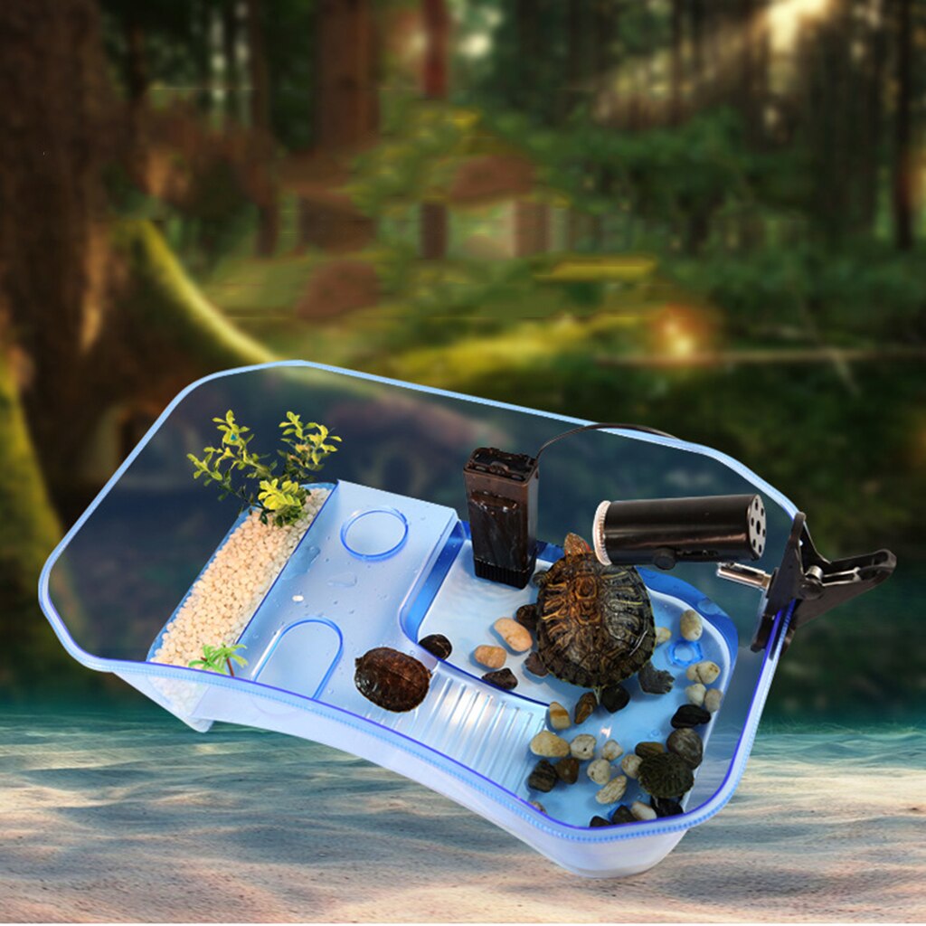 Rettile Anfibio Lucertola Tartaruga Serbatoio tartaruga Vivarium Terrario scatola per tartaruga Tartaruga Tartaruga