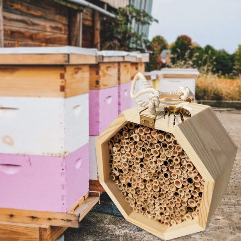 Wooden Insect Bee House Hotel Natural Bee House Hive Habitat Home for Ladybirds lacewings