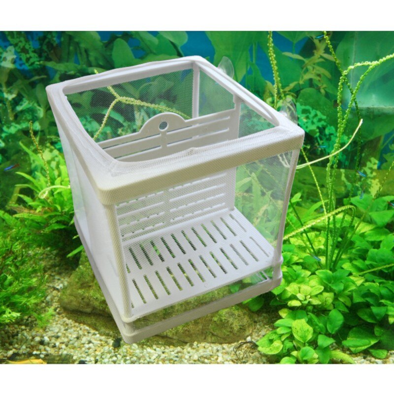 Akvarium inkubator oppdretter akvarium avl isolasjon boks akvarium klekkeri vokse frøplanter reproduksjon holder