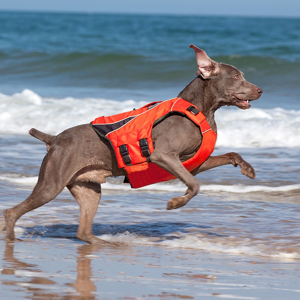 Dog Life Vest Jacket Clothes Ropa Perro De Para Harness Pet Arnes Roupa Chaleco Salvavidas Swimming Summer Grande