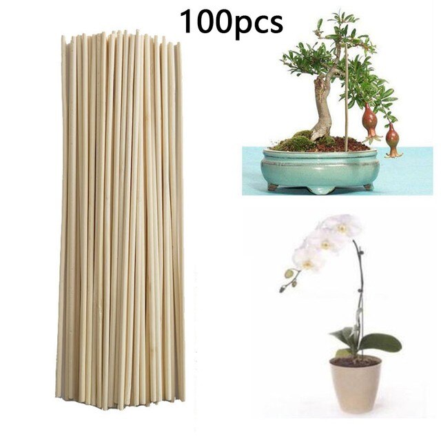 Bastones de bambú para plantas, Estaca de bambú para flores, palos de repuesto profesionales, Clips para plantas, arreglo de flores, suministros de jardín: F-100pcs-20cm