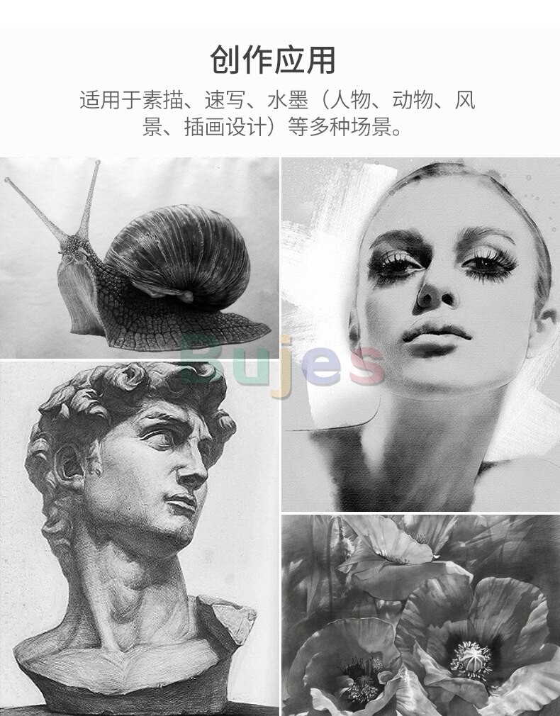 Derwent Houtskool Potloden, Metalen Tin, 6 Count (0700838), Zwart/Wit, Houtskool Potlood, schetsen Potloden