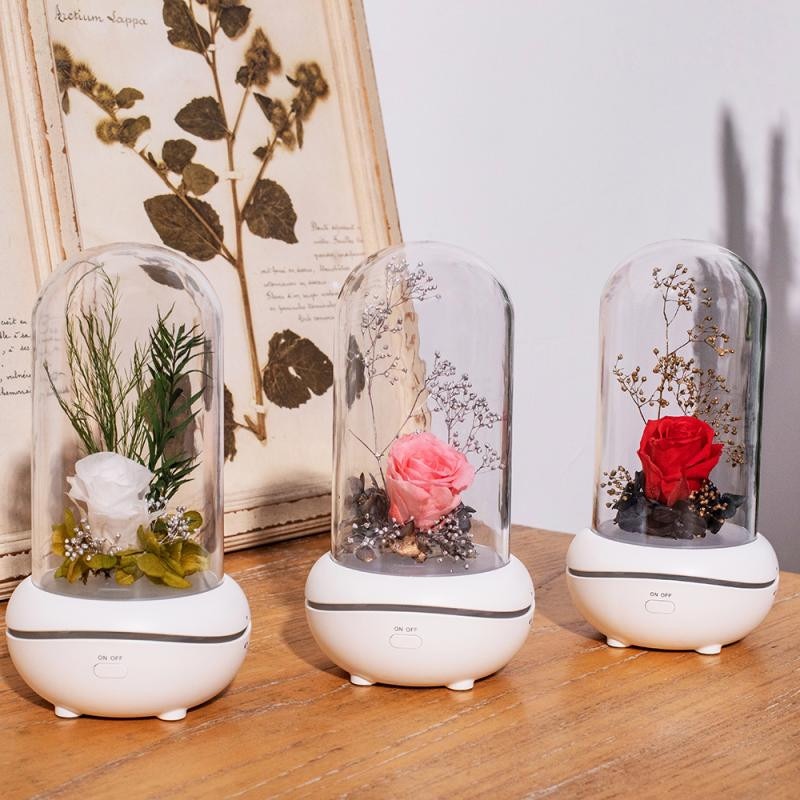 Eloole aromatherapie diffuser usb luchtbevochtiger etherische olie verspreider zonder water voor thuis led-lamp met 5 wattenschijfjes