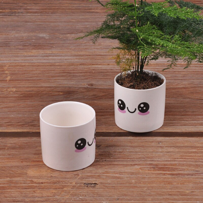 6 Styles Ceramics Planter Flowerpot Cute Expression Garden Succulent Plants Desk Flower Pot Garden Decor Ceramic Vase: a