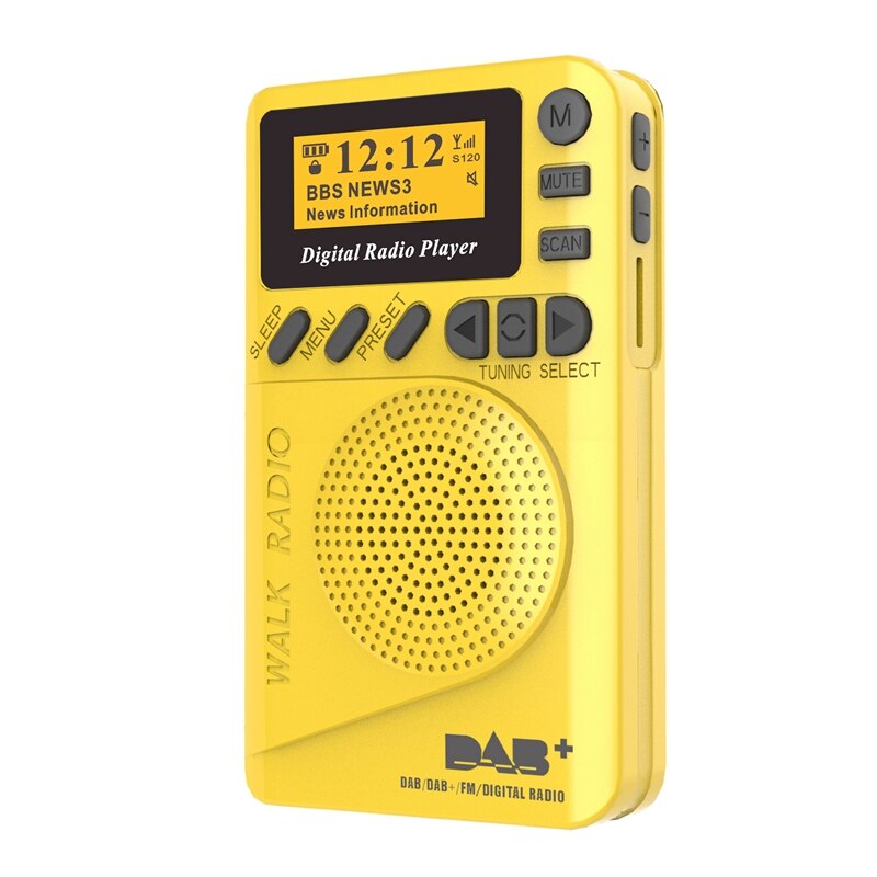 Lecteur Mp3 portatif de démodulateur numérique de Fm de Radio numérique de Mini Dab de poche avec l'affichage d'affichage à cristaux liquides