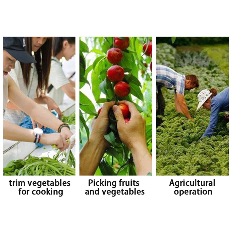 2 Pcs Vegetable Thump Knife Separator Vegetable Fruit Harvesting Picking Tool For Farm Garden Orchard #40