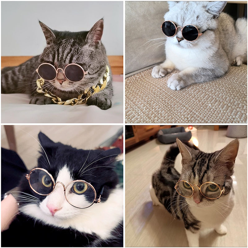 Luxe Bril Hond Parel Zonnebril Hoofdtooi Parel Zonnebril Eye Wear Bril Voor Kleine Hond Kat Foto's Rekwisieten Accessoires