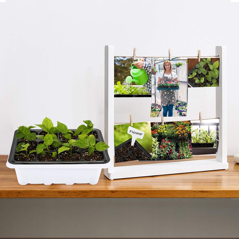 Bandejas de iniciación de semillas de 2 piezas, 60 células grandes, bandeja de plántulas, Kit de cultivo de plantas con tapa y Base para germinación de semillas (6/12 celdas por bandeja)