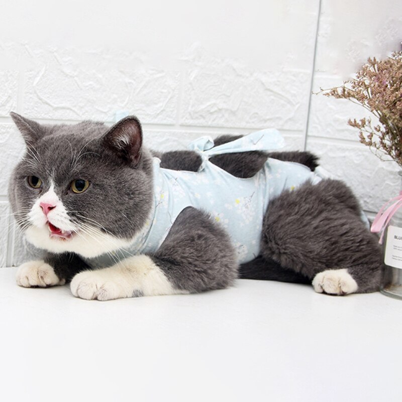 Trajes de recuperación quirúrgica para gato, ropa de recuperación para heridas, camisa de perro después de la cirugía, traje de recuperación de destete, ropa para mascotas