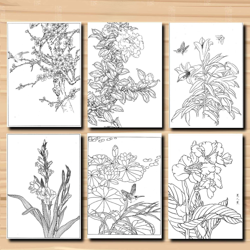 Meticulous Painting Line Drawing Manuscript Traditional Chinese Painting Flowers Birds Characters Animals Line Draft Rice Paper