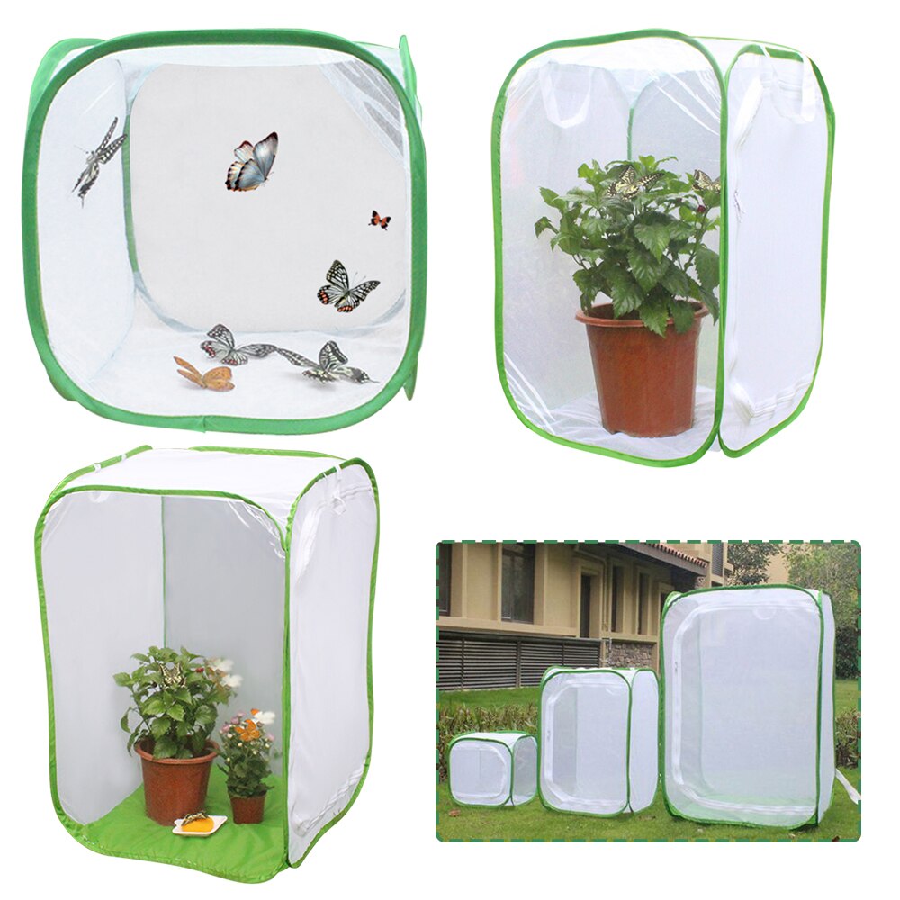Insect Cage Foldable Butterfly Habitat Mesh Transp... – Grandado