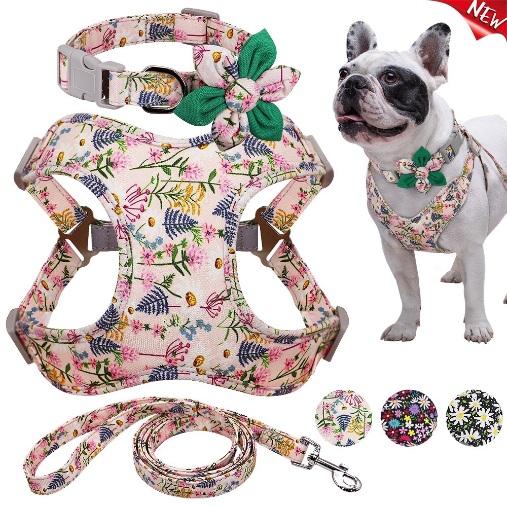Conjunto de arnés y Collar para Bulldog Francés, arnés para perros sin tirones, correa de chaleco, para perros pequeños, medianos y grandes