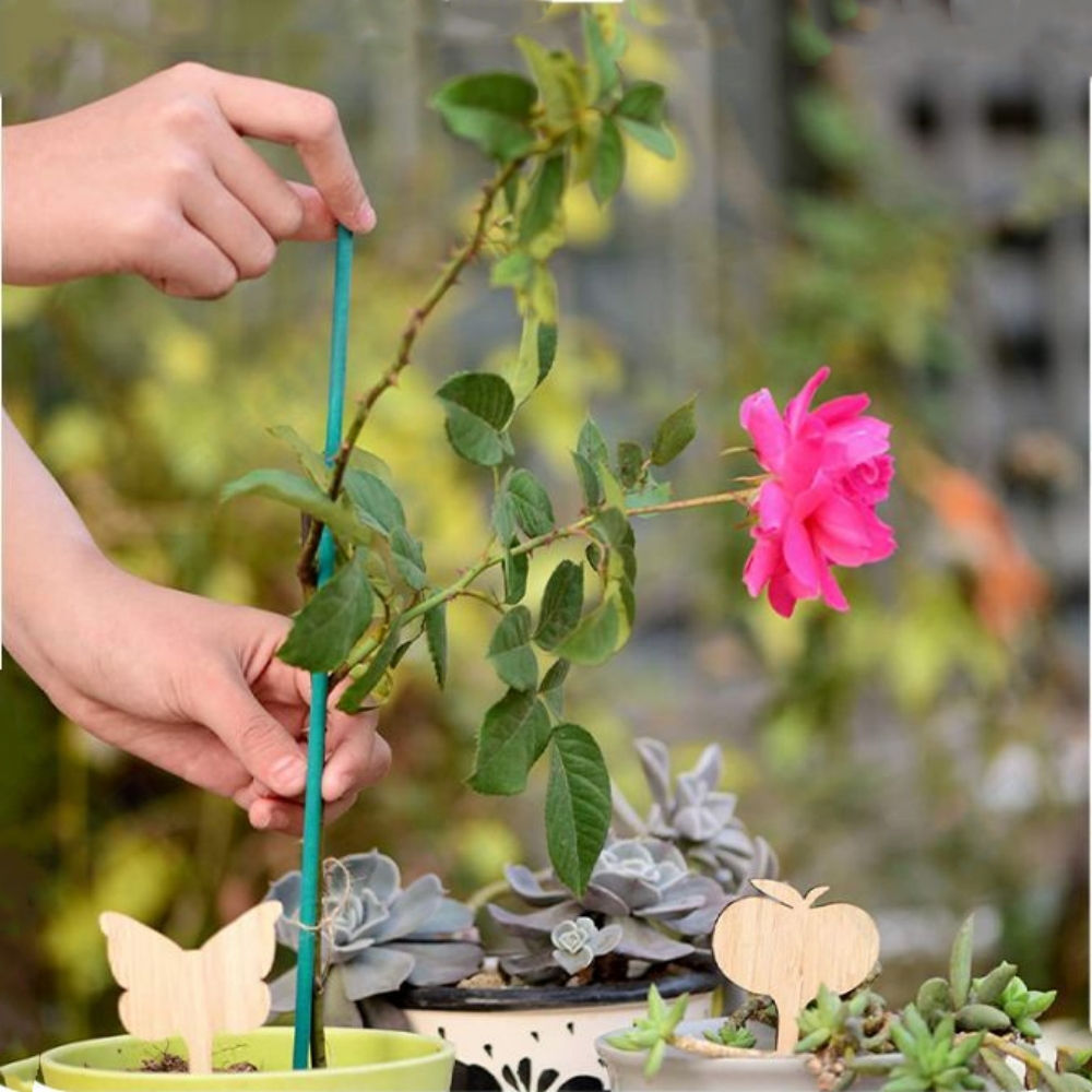 Palos verdes de bambú para 20 piezas, soporte para plantas, palitos para flores, varilla para orquídeas, palitos para plantas para apoyar plantas trepadoras, orquídeas y tomate