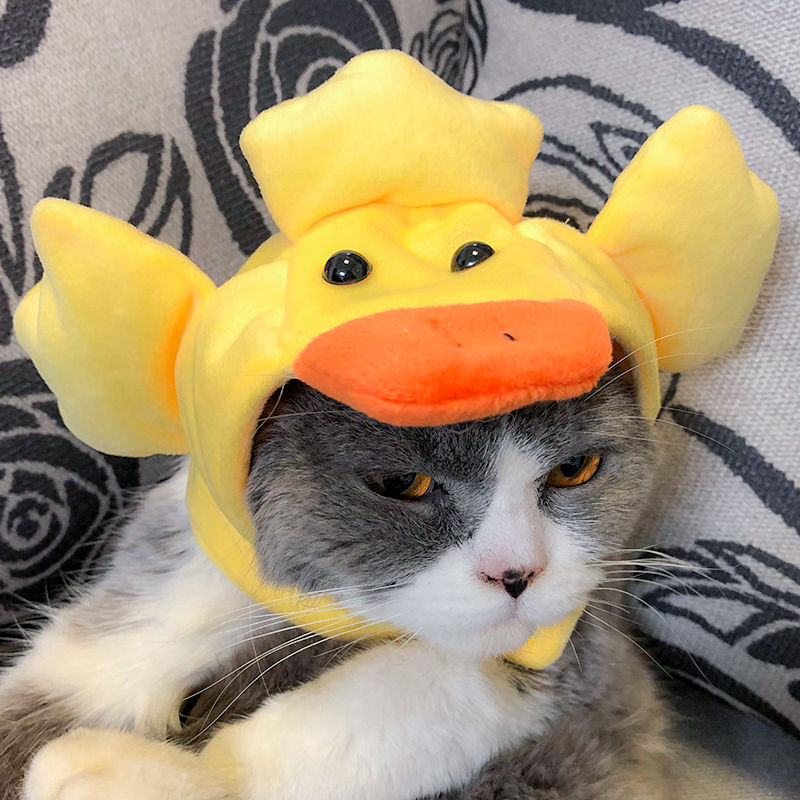 Grappige Kleding Voor Katten Leeuw Manen Kat Kostuum Leeuw Haar Pruik Cap Hond Kostuums Voor Kleine Honden Kerst Pet Halloween kostuums: Ducks caps